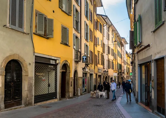 Feel - Minimal House - Centro